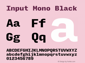 InputMono Black Version 0.000;PS 0.0;hotconv 1.0.72;makeotf.lib2.5.5900; ttfautohint (v0.9)图片样张
