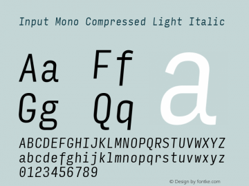 InputMonoCompressed LightIta Version 0.000;PS 0.0;hotconv 1.0.72;makeotf.lib2.5.5900图片样张