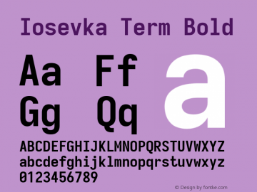 Iosevka Term Bold Version 3.6.3; ttfautohint (v1.8.3)图片样张