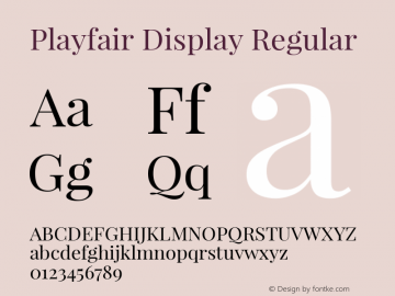 Playfair Display Regular Version 1.003;PS 001.003;hotconv 1.0.70;makeotf.lib2.5.58329; ttfautohint (v0.93) -l 42 -r 42 -G 200 -x 14 -w 