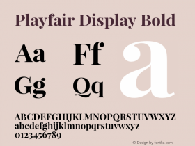 Playfair Display Bold Version 1.003;PS 001.003;hotconv 1.0.70;makeotf.lib2.5.58329; ttfautohint (v0.93) -l 42 -r 42 -G 200 -x 14 -w 