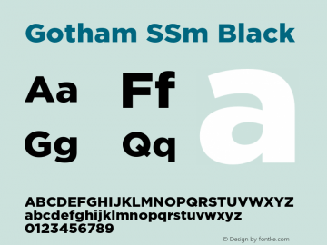 Gotham SSm Black Regular Version 2.200图片样张
