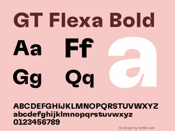 GT Flexa Std Bold New1 Version 2.005;hotconv 1.0.109;makeotfexe 2.5.65596图片样张