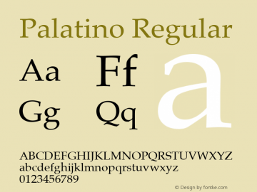 Palatino 15.0d2e2图片样张