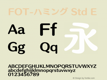 FOT-ハミング Std E 图片样张