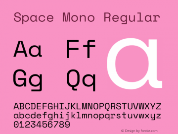 Space Mono Version 1.000;PS 1.003;hotconv 1.0.81;makeotf.lib2.5.63406图片样张