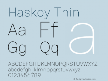 Haskoy Thin Version 1.500图片样张