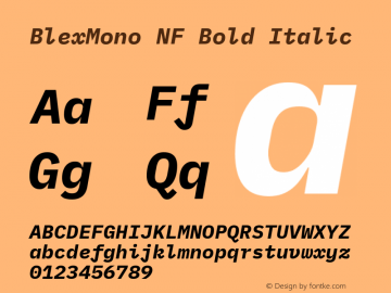 Blex Mono Bold Italic Nerd Font Complete Windows Compatible Version 2.000图片样张