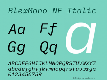 Blex Mono Italic Nerd Font Complete Windows Compatible Version 2.000图片样张