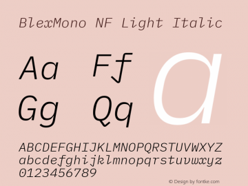 Blex Mono Light Italic Nerd Font Complete Mono Windows Compatible Version 2.000图片样张