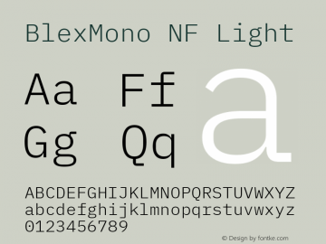 Blex Mono Light Nerd Font Complete Mono Windows Compatible Version 2.000图片样张