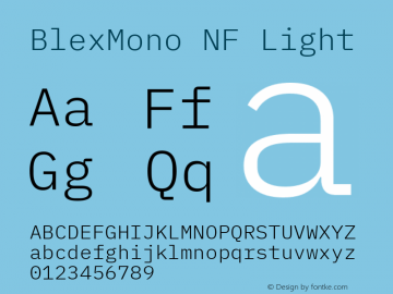 Blex Mono Light Nerd Font Complete Windows Compatible Version 2.000图片样张