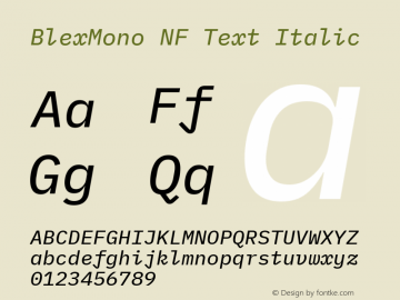 Blex Mono Text Italic Nerd Font Complete Windows Compatible Version 2.000图片样张