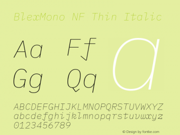 Blex Mono Thin Italic Nerd Font Complete Mono Windows Compatible Version 2.000图片样张