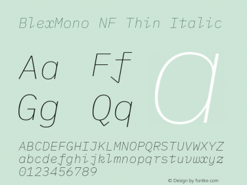 Blex Mono Thin Italic Nerd Font Complete Windows Compatible Version 2.000图片样张