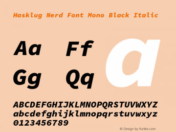 Hasklug Black Italic Nerd Font Complete Mono Version 1.052;hotconv 1.0.117;makeotfexe 2.5.65602图片样张