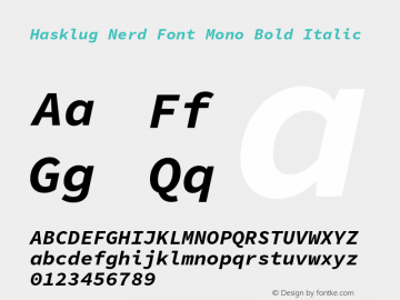 Hasklug Bold Italic Nerd Font Complete Mono Version 1.052;hotconv 1.0.117;makeotfexe 2.5.65602图片样张