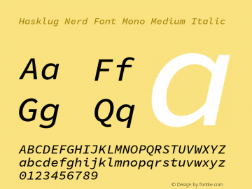 Hasklug Medium Italic Nerd Font Complete Mono Version 1.052;hotconv 1.0.117;makeotfexe 2.5.65602图片样张
