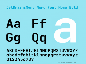 JetBrains Mono Bold Nerd Font Complete Mono Version 2.225; ttfautohint (v1.8.3)图片样张