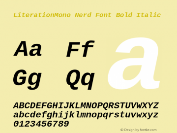 Literation Mono Bold Italic Nerd Font Complete Version 2.00.5图片样张