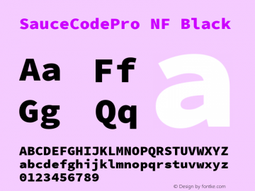 Sauce Code Pro Black Nerd Font Complete Windows Compatible Version 2.030;PS 1.000;hotconv 16.6.51;makeotf.lib2.5.65220图片样张
