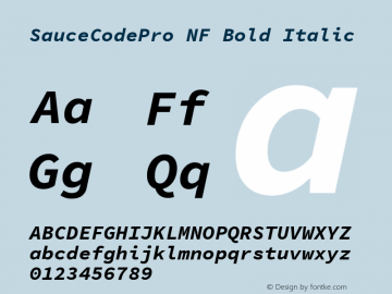 Sauce Code Pro Bold Italic Nerd Font Complete Mono Windows Compatible Version 1.050;PS 1.000;hotconv 16.6.51;makeotf.lib2.5.65220图片样张