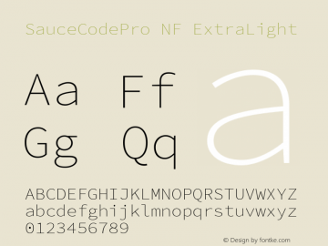 Sauce Code Pro ExtraLight Nerd Font Complete Mono Windows Compatible Version 2.030;PS 1.000;hotconv 16.6.51;makeotf.lib2.5.65220图片样张