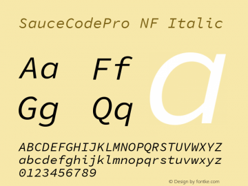 Sauce Code Pro Italic Nerd Font Complete Windows Compatible Version 1.050;PS 1.000;hotconv 16.6.51;makeotf.lib2.5.65220图片样张