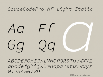 Sauce Code Pro Light Italic Nerd Font Complete Windows Compatible Version 1.050;PS 1.000;hotconv 16.6.51;makeotf.lib2.5.65220图片样张