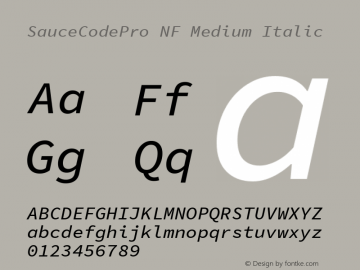Sauce Code Pro Medium Italic Nerd Font Complete Mono Windows Compatible Version 1.050;PS 1.000;hotconv 16.6.51;makeotf.lib2.5.65220图片样张