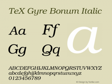 TeXGyreBonum-Italic Version 1.103;PS 1.103;hotconv 1.0.49;makeotf.lib2.0.14853图片样张