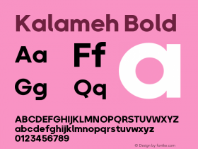 Kalameh Bold Version 4.000图片样张
