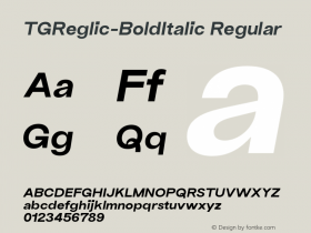 TG Reglic W05 Bold Italic Version 2.00图片样张