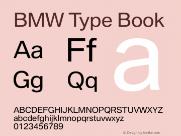 BMW Type DaMa BMWType Regular, V2图片样张