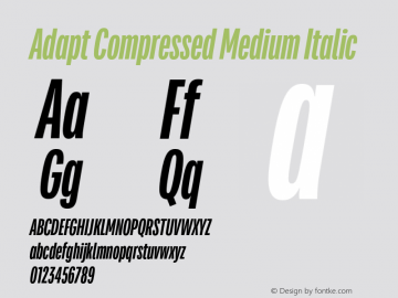 Adapt Compressed Medium Italic Version 1.033;hotconv 1.0.109;makeotfexe 2.5.65596图片样张