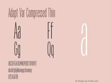 Adapt Var Compressed Thin 1.033图片样张