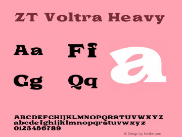 ZT Voltra Heavy 1.000图片样张