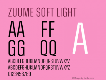 Zuume Soft Light 1.000图片样张