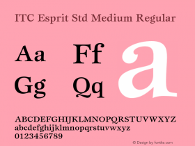 ITC Esprit Std Medium Regular OTF 1.018;PS 001.000;Core 1.0.31;makeotf.lib1.4.1585 Font Sample