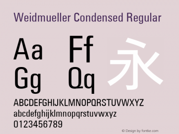 Weidmueller Condensed Regular Version 1.10图片样张
