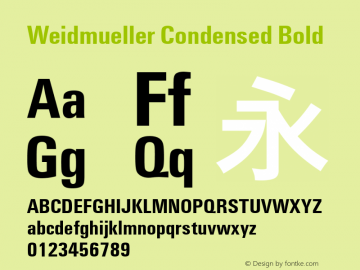 Weidmueller Condensed Bold Version 1.10图片样张