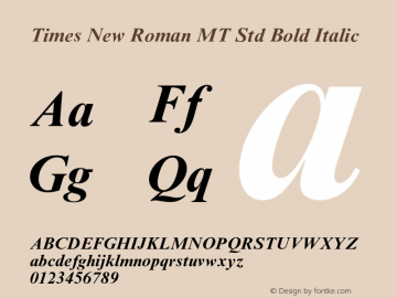 Times New Roman MT Std Bold Italic Version 1.047;PS 001.006;Core 1.0.38;makeotf.lib1.6.5960图片样张