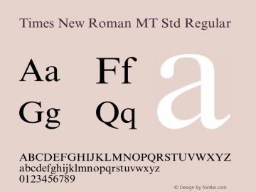 Times New Roman MT Std Regular Version 2.020;PS 002.000;hotconv 1.0.50;makeotf.lib2.0.16970图片样张