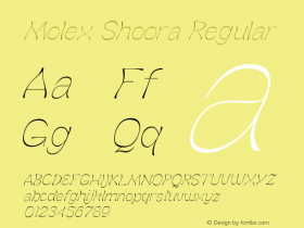 Molex Shoora Thin Slanted Version 1.000图片样张