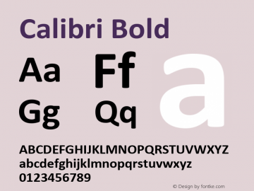 Calibri Bold Version 6.24图片样张