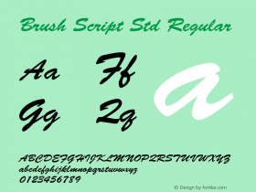Brush Script Std Regular OTF 1.020;PS 001.003;Core 1.0.31;makeotf.lib1.4.1585图片样张