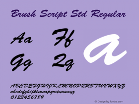 Brush Script Std Regular Version 2.046;PS 002.000;hotconv 1.0.57;makeotf.lib2.0.21895图片样张