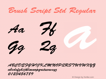 Brush Script Std Regular Version 2.071;PS 002.000;hotconv 1.0.67;makeotf.lib2.5.33168图片样张