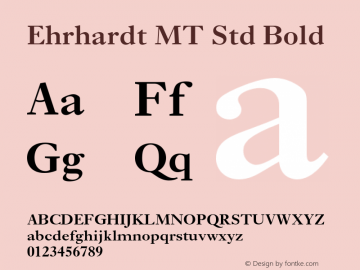 Ehrhardt MT Std Bold Version 1.047;PS 001.003;Core 1.0.38;makeotf.lib1.6.5960图片样张