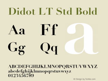 Didot LT Std Bold Version 1.040;PS 001.000;Core 1.0.35;makeotf.lib1.5.4492图片样张